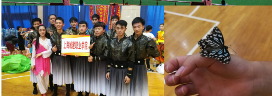 QQ截图20170718191946.png