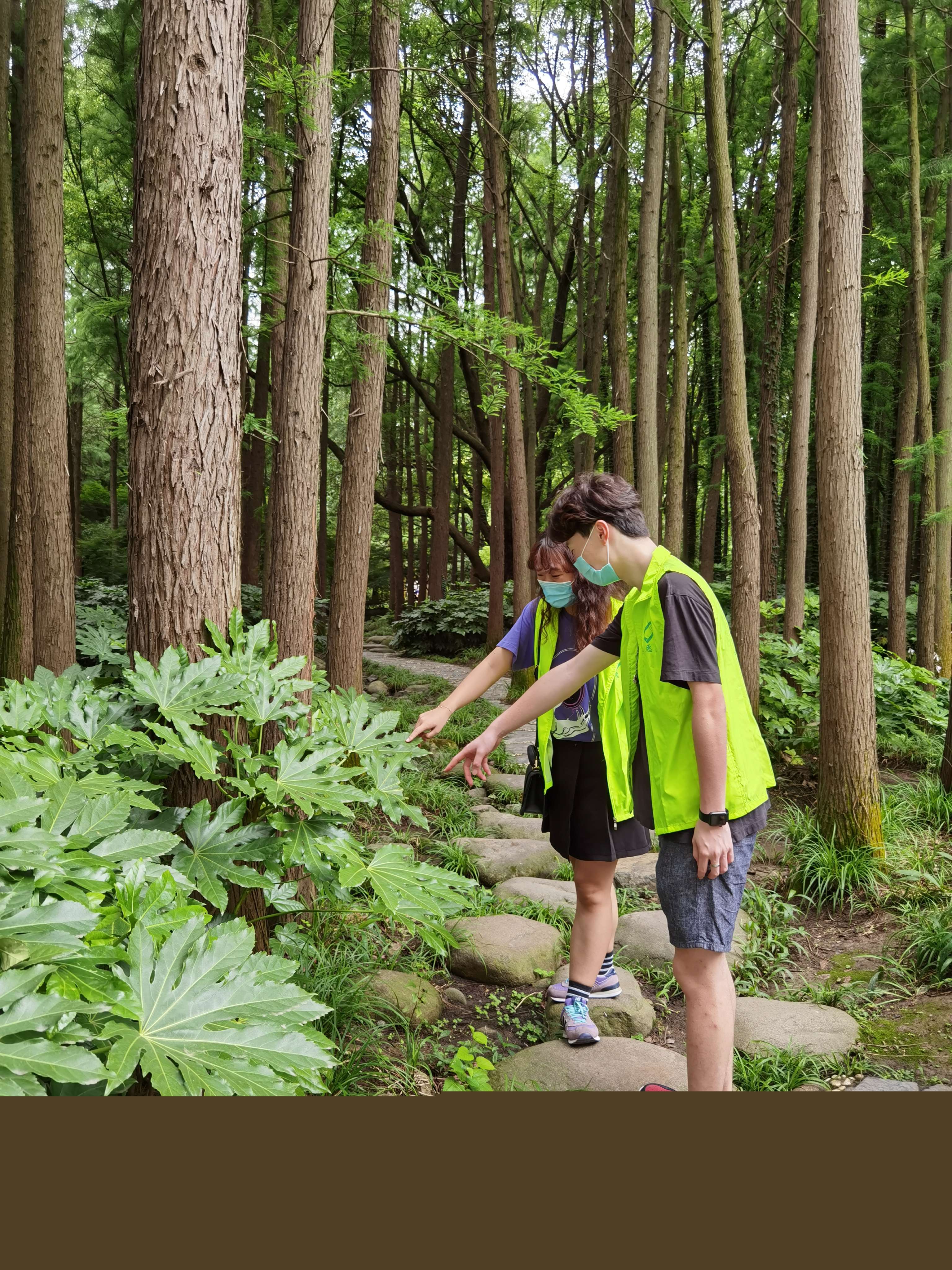 1594276664860931.jpg 1594276664860931.jpg