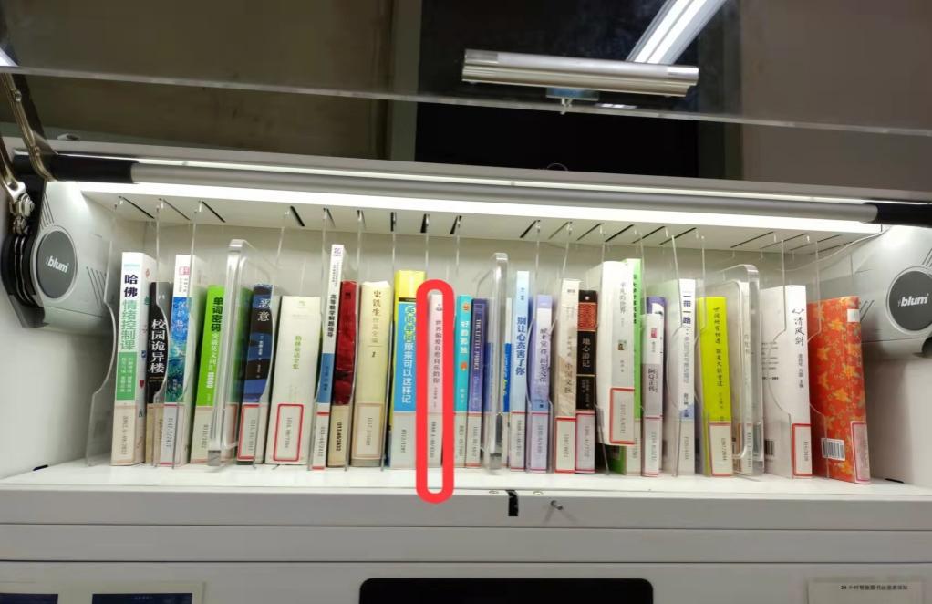 image4.jpeg
