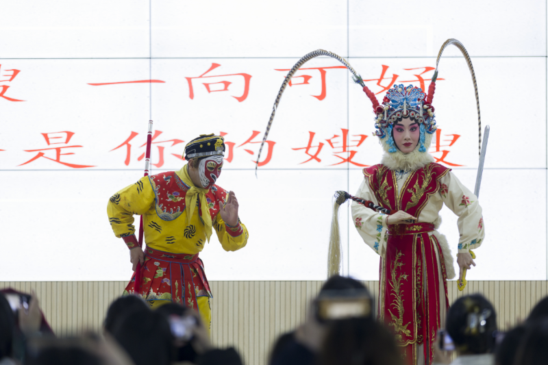 IMG_1385-800.png