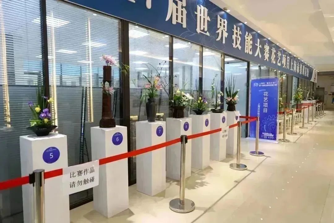 1680405008469210.jpg 2f7394d292258ff657ac1d29db77b3b1.jpg