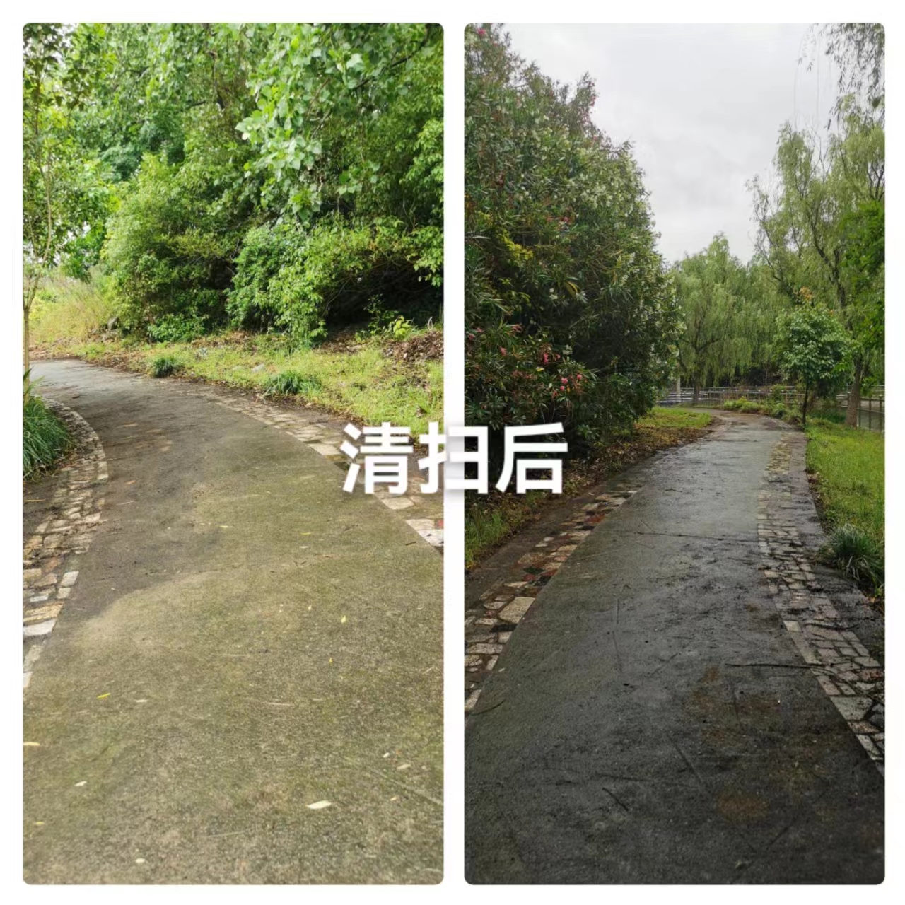 de12adc22ea300172767ed51a676b82.jpg