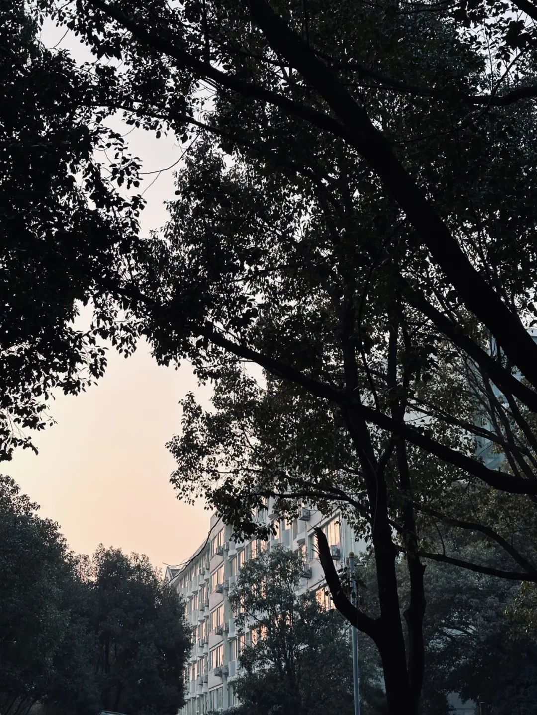 微信图片_20240414114533.jpg