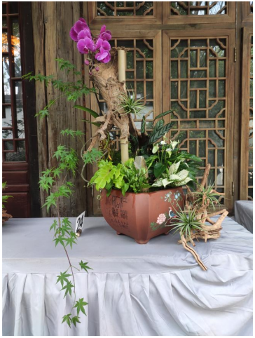 1714566798360077.png image.png