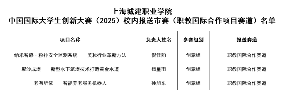 国际合作项目赛道.png