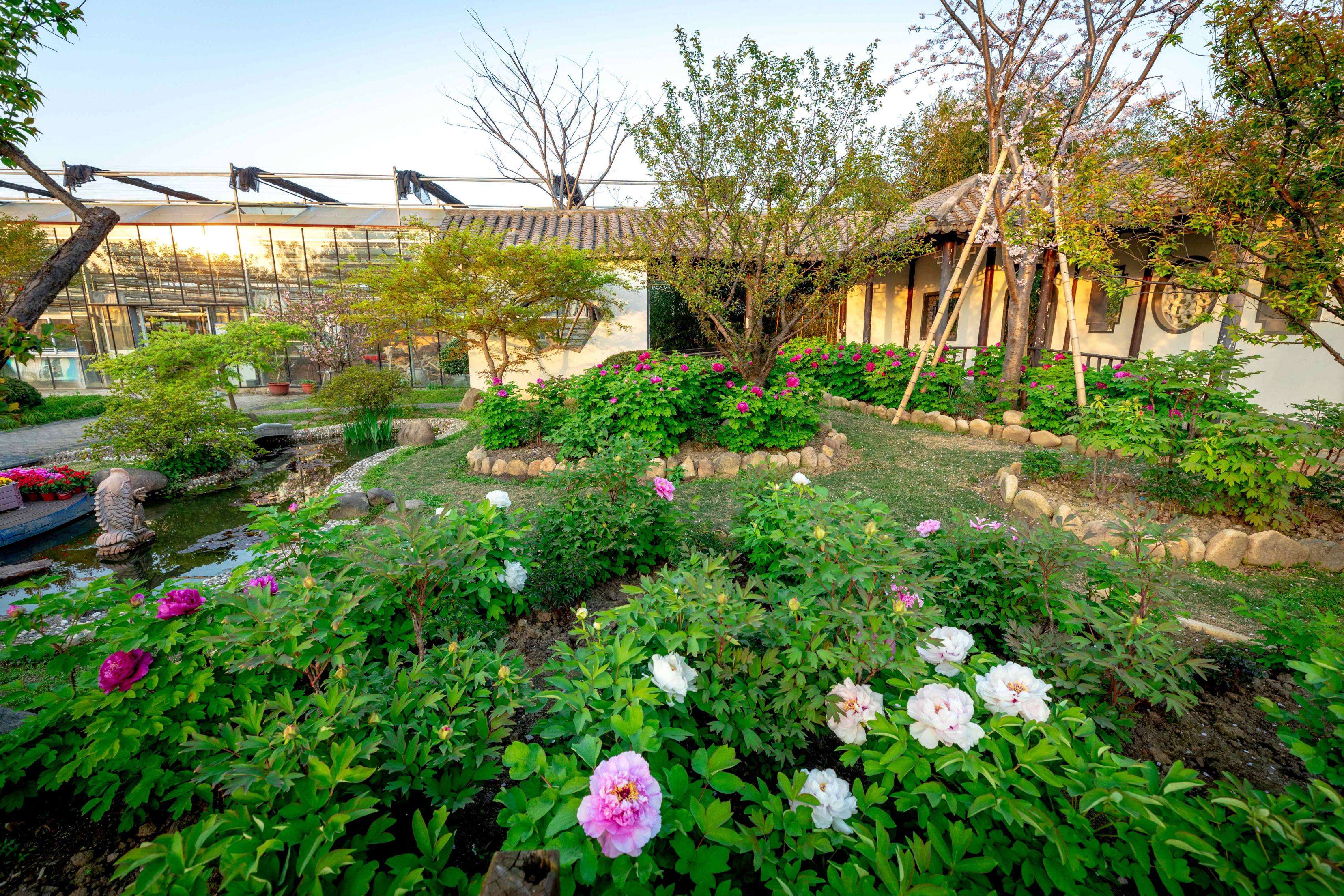 1760162206317144.jpg 1(1)(1).jpg