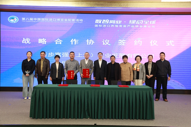 1762760845410780.jpg 0C6A6698 - 副本.JPG