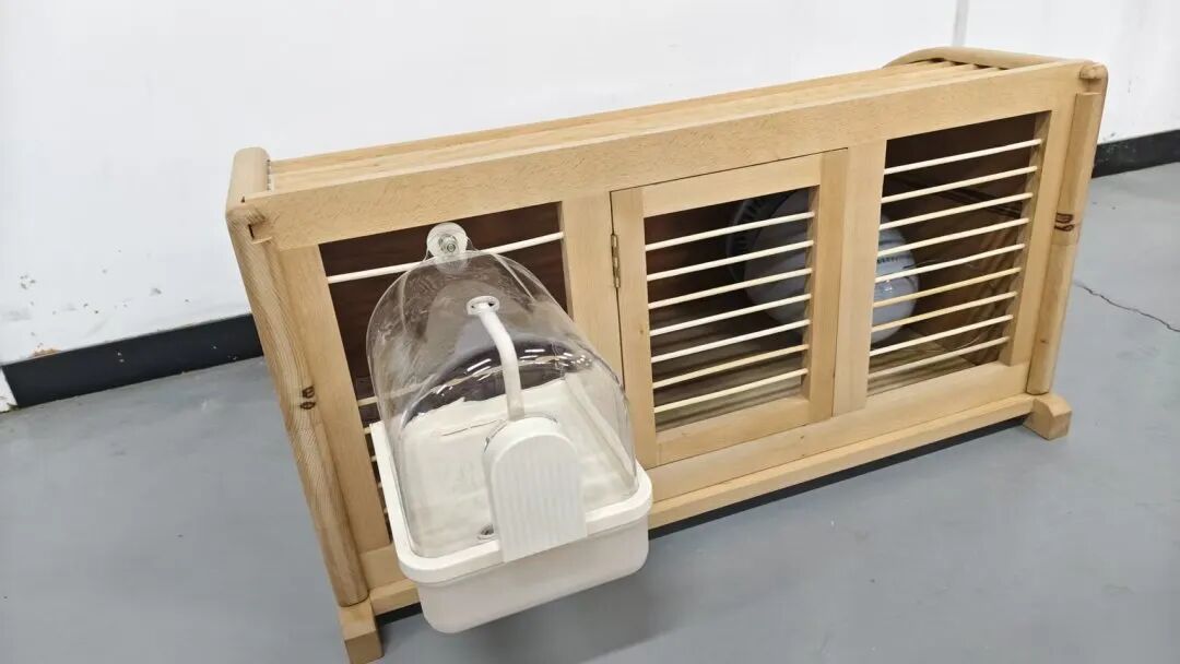 1766318014691615.jpg 640 (3).jpg